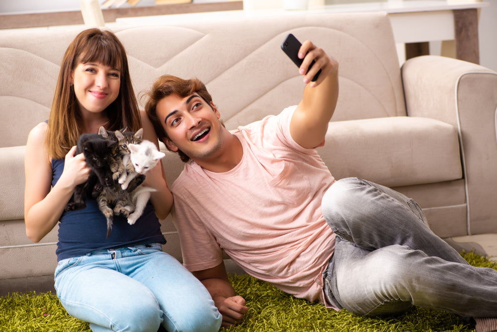 What First-Time Kitten Owners Need to Know