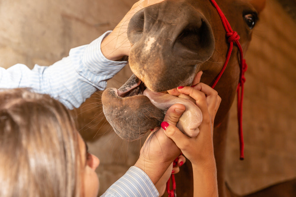 Nitrate and Nitrite Poisoning in Horses