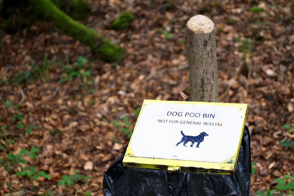 The Truth About Plant-Based and Cornstarch Dog Poo Bags