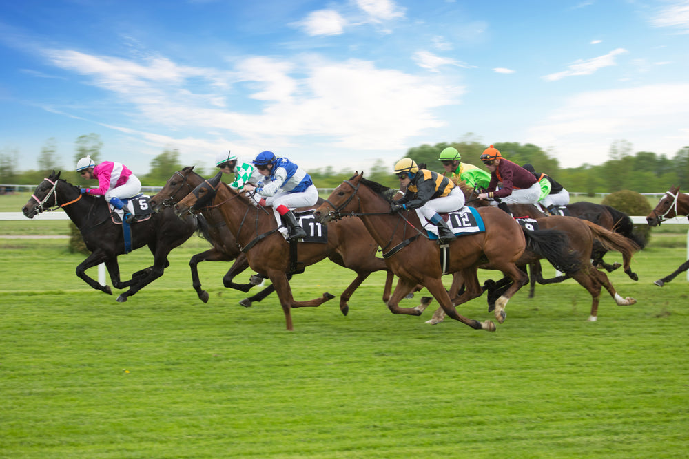 Phenylbutazone and Breakdown Injuries in Racehorses