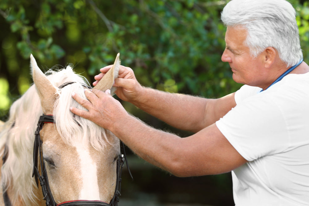 Emergency Horse Care
