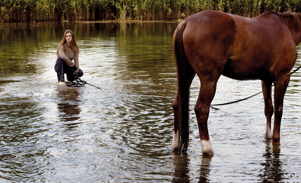 Barefoot vs Shod Horses: Which Is Better for Soundness?