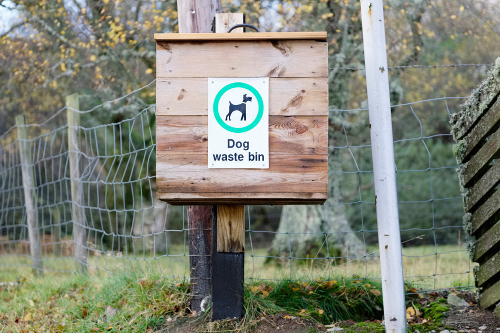 9 Reasons Compostable and Biodegradable Dog Poo Bags Aren’t Truly Eco-Friendly (Yet)