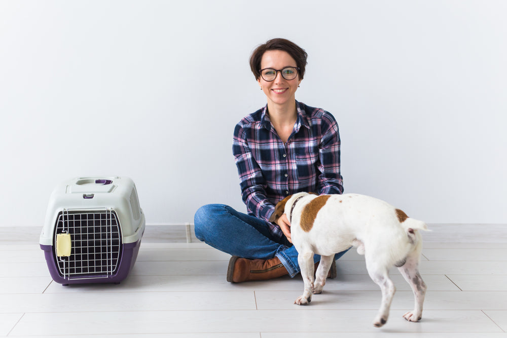 Estate Planning for Your Pets