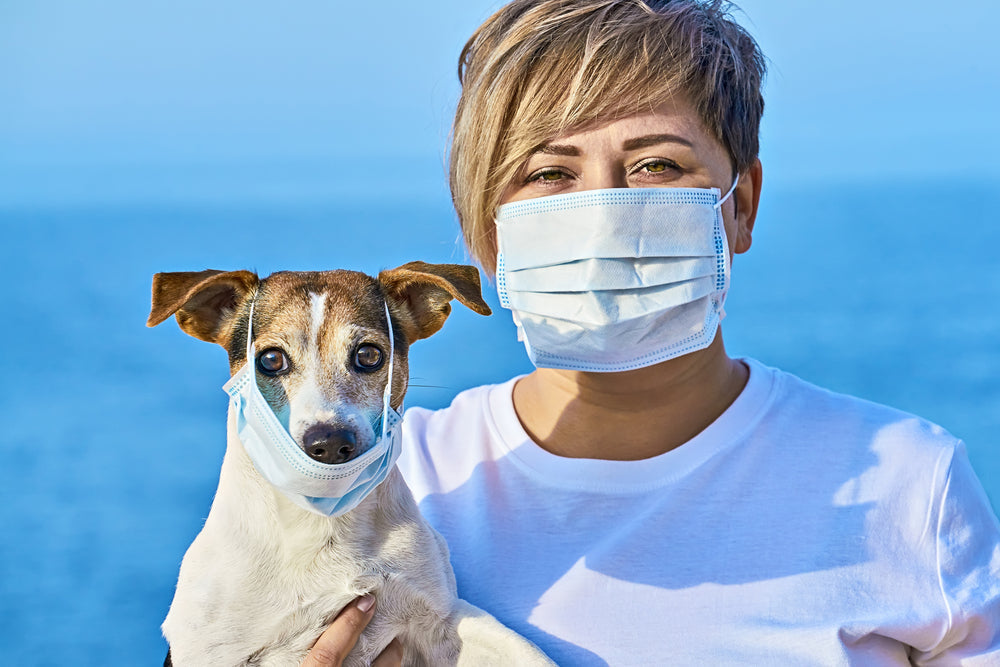 Cyclophosphamide for Dogs and Cats