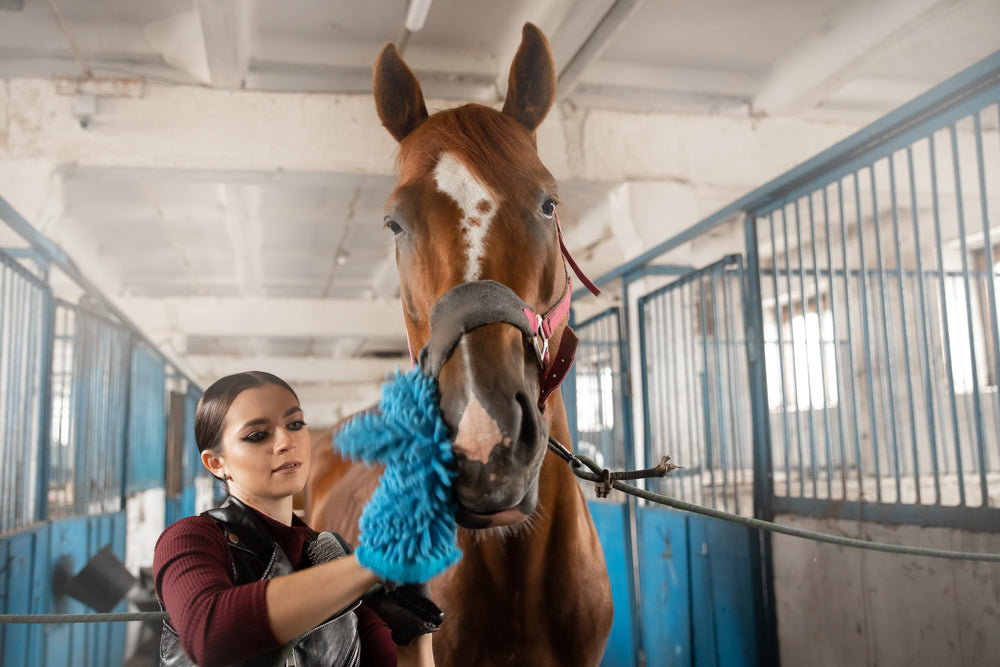Scratches and Hair Loss in Horses: Causes, Treatment and Prevention