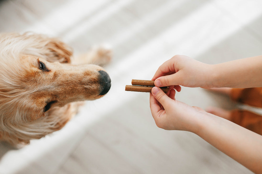 What to Watch for in Pet Treats