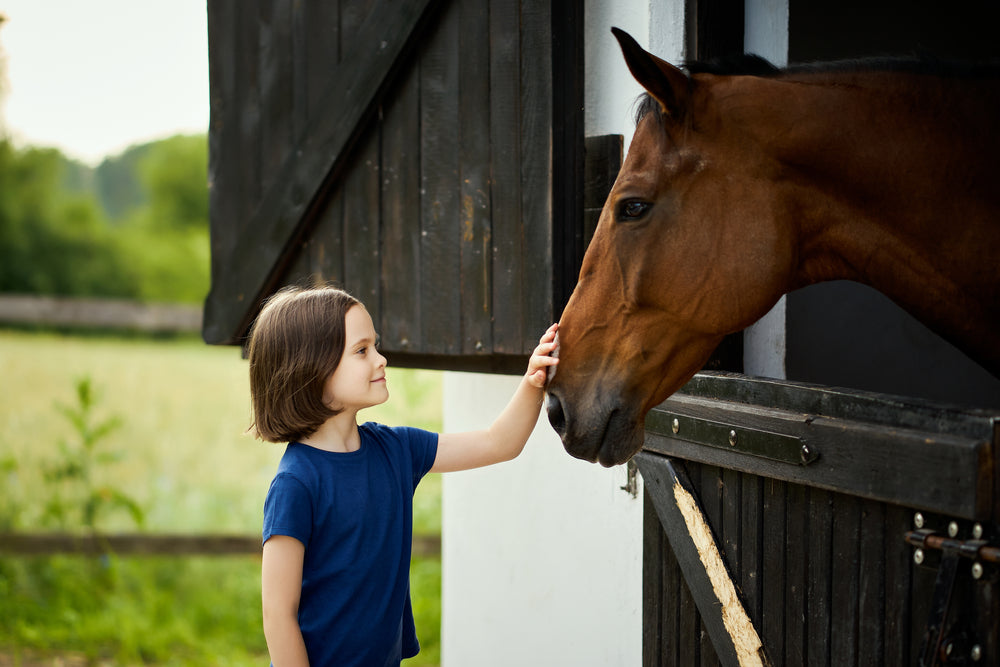 Why Soring Horses Must End