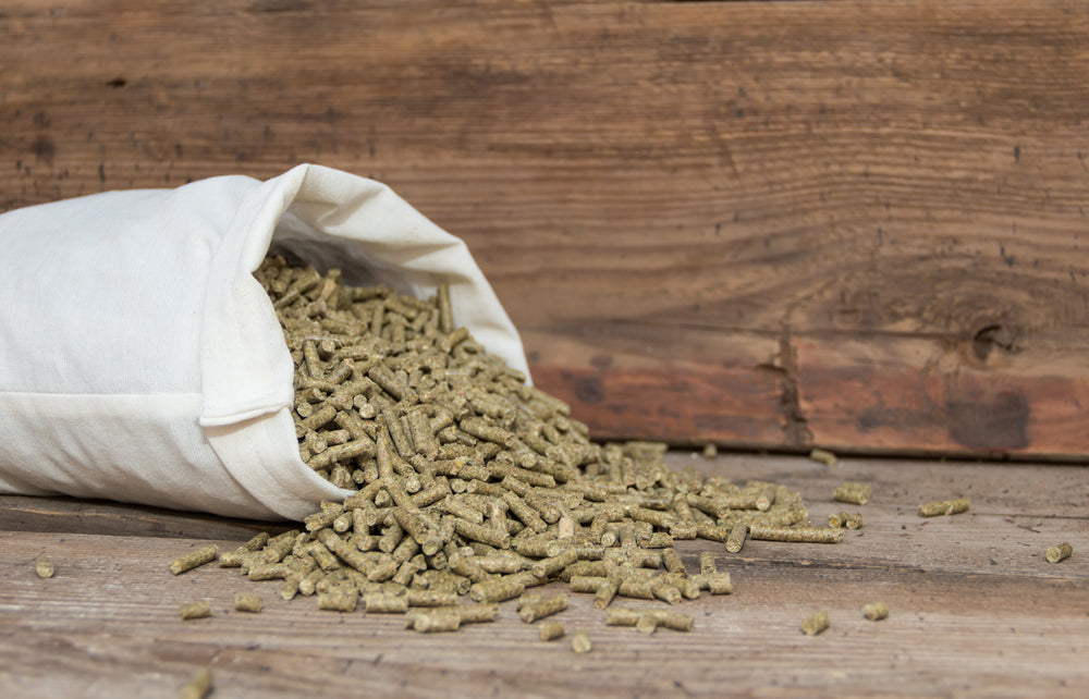 Extruded Horse Feed vs Pelleted Horse Feed