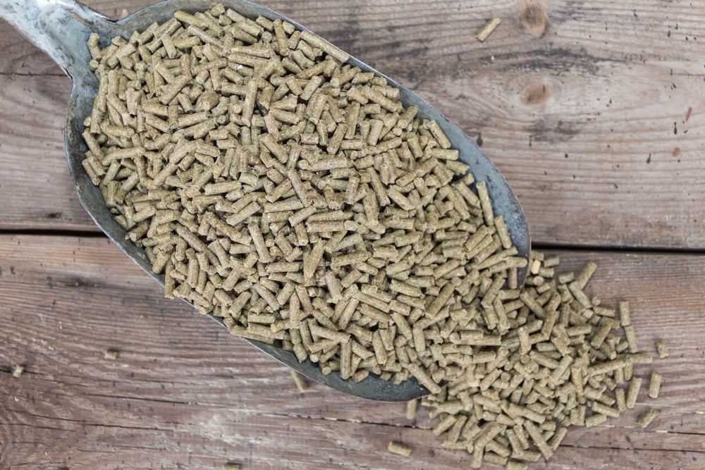 When Is Horse Feed Too Old To Use?