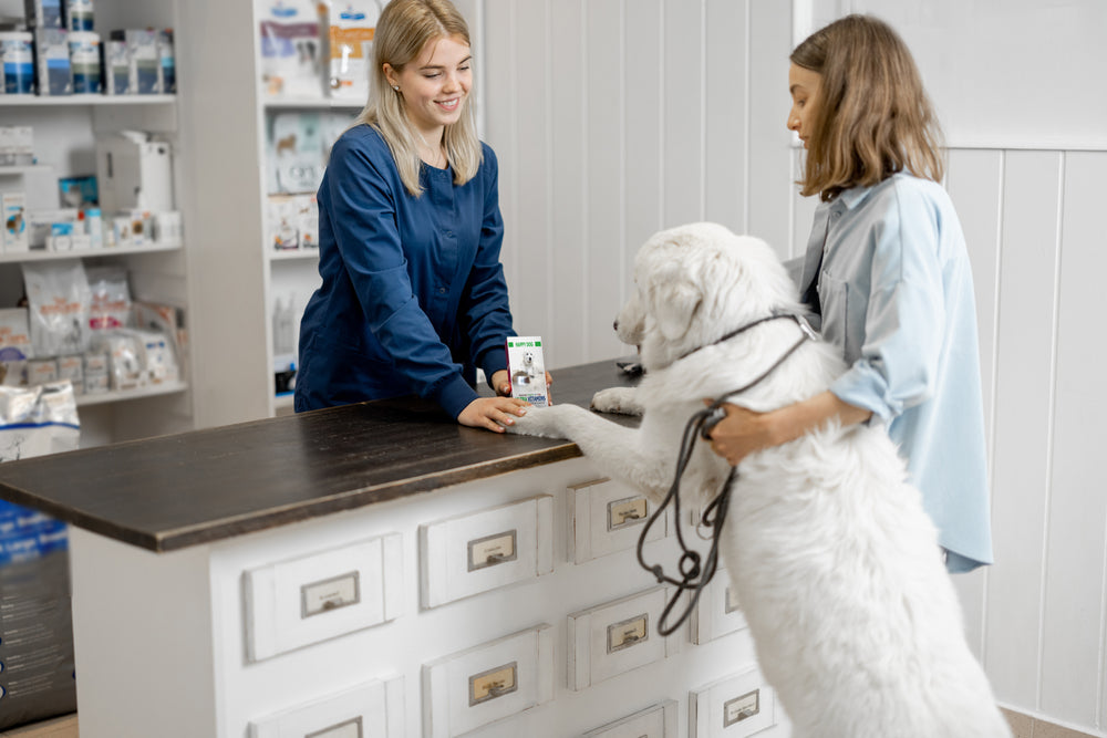 How to Choose a Veterinarian