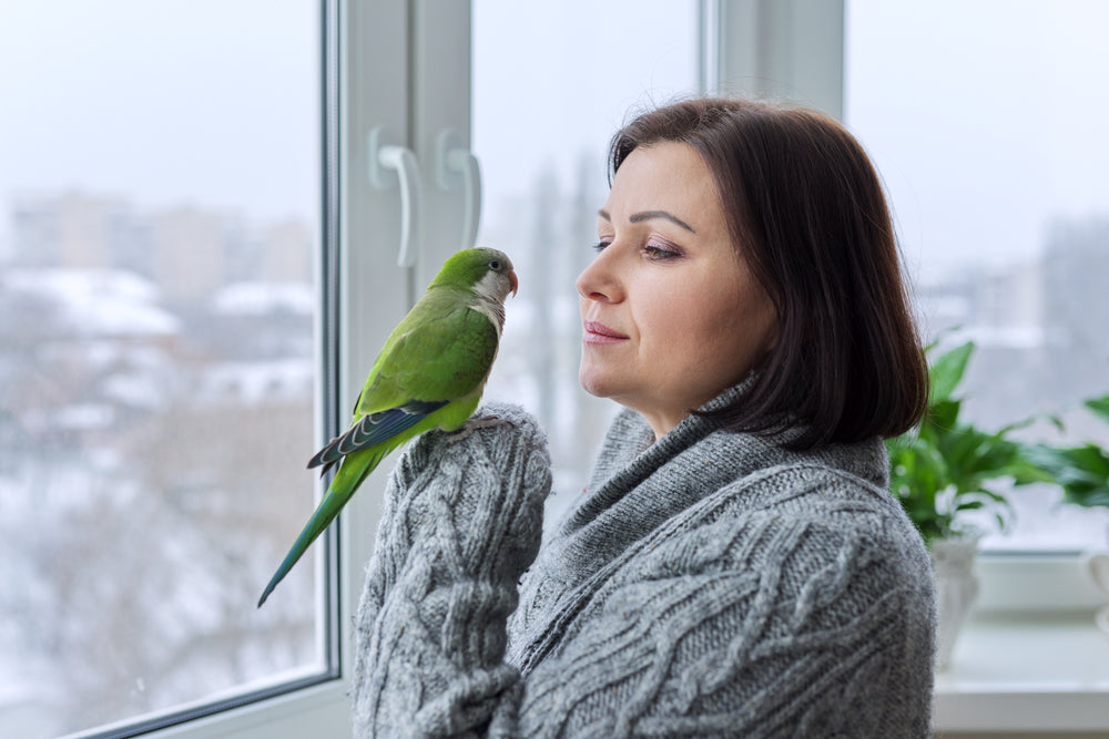 Why Do Parrots Talk?