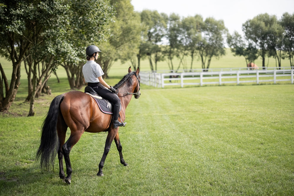 Best Riding Arena Footing for Horses