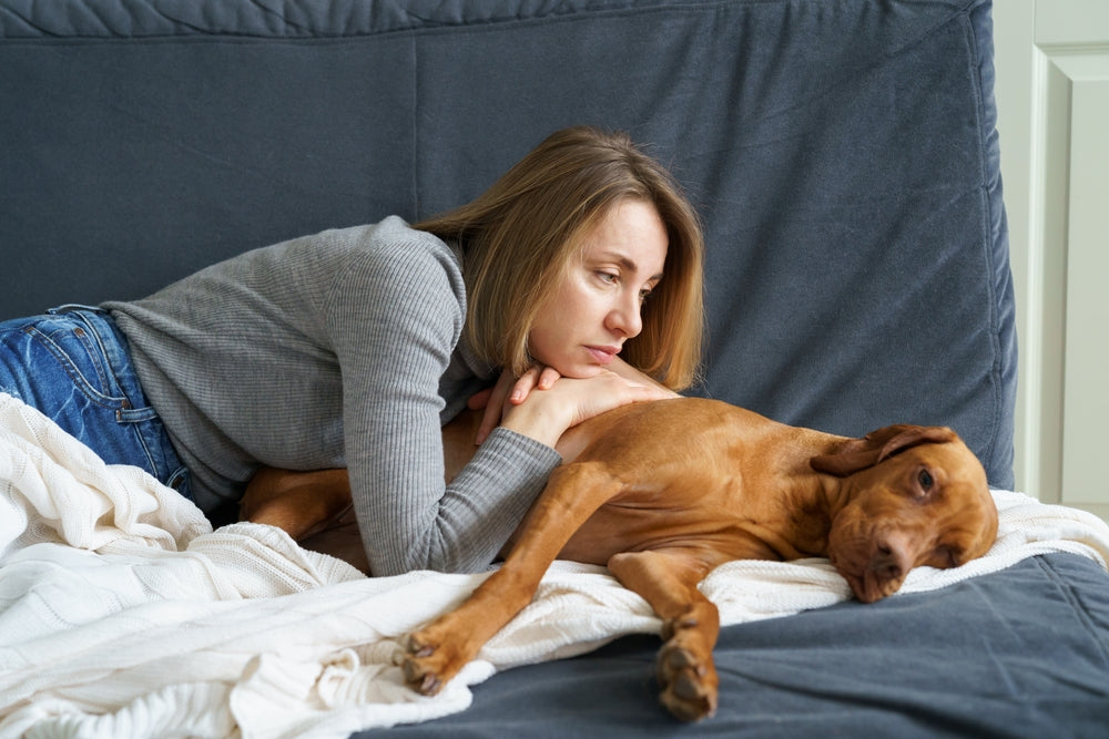 How to Recognize Pain in Dogs and Cats Before It Gets Worse