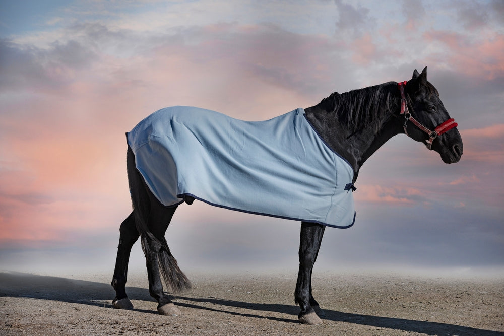 When to Blanket Your Horse Without Causing Heat Stress