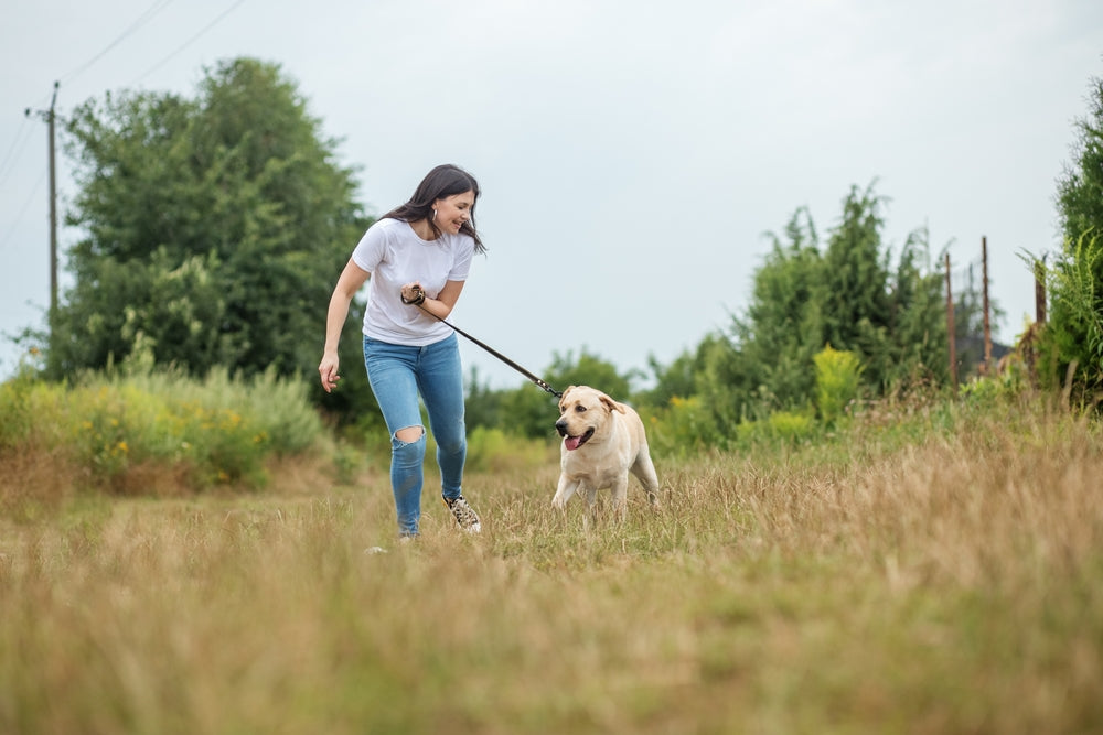 Running With Your Dog