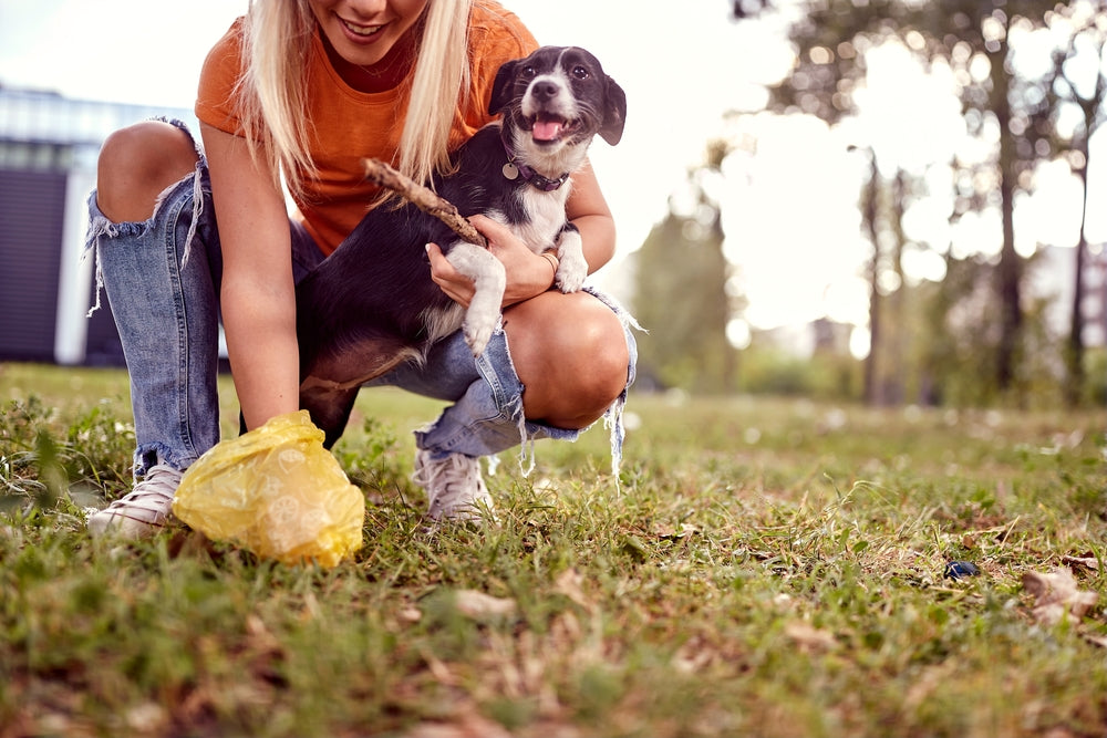 Which Dog Poo Bags Are Better? Dr Duncan Houston Explains