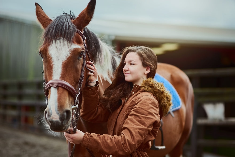 When Does a Horse Need Colic Surgery?