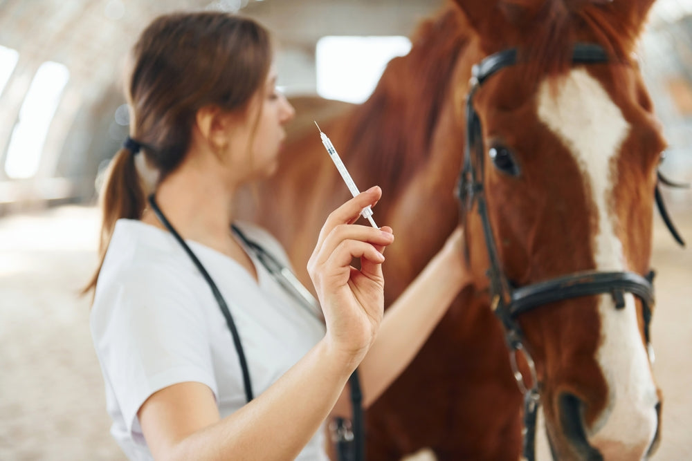 Does My Mare Need Antibiotics for a Uterine Infection?