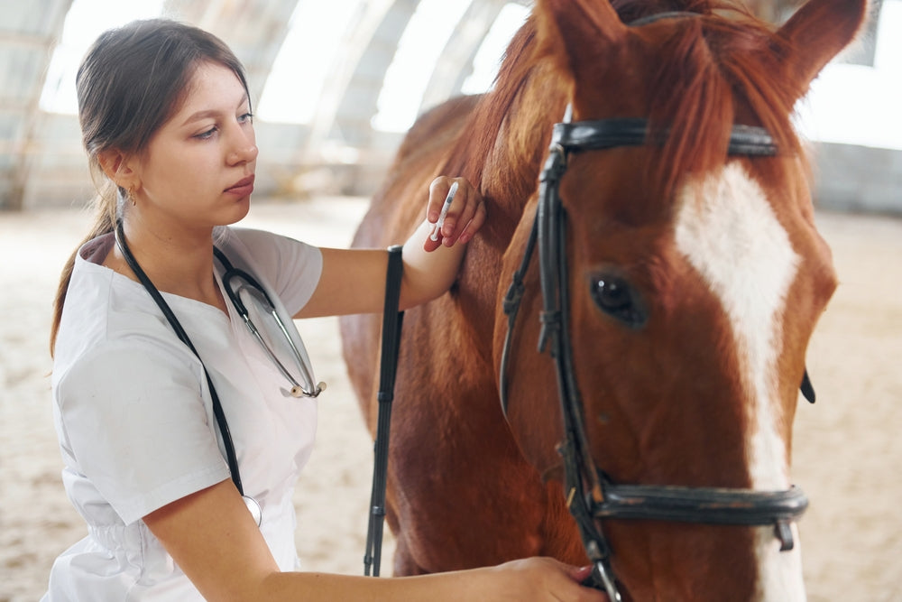 Parasite Egg Shedding in Horses
