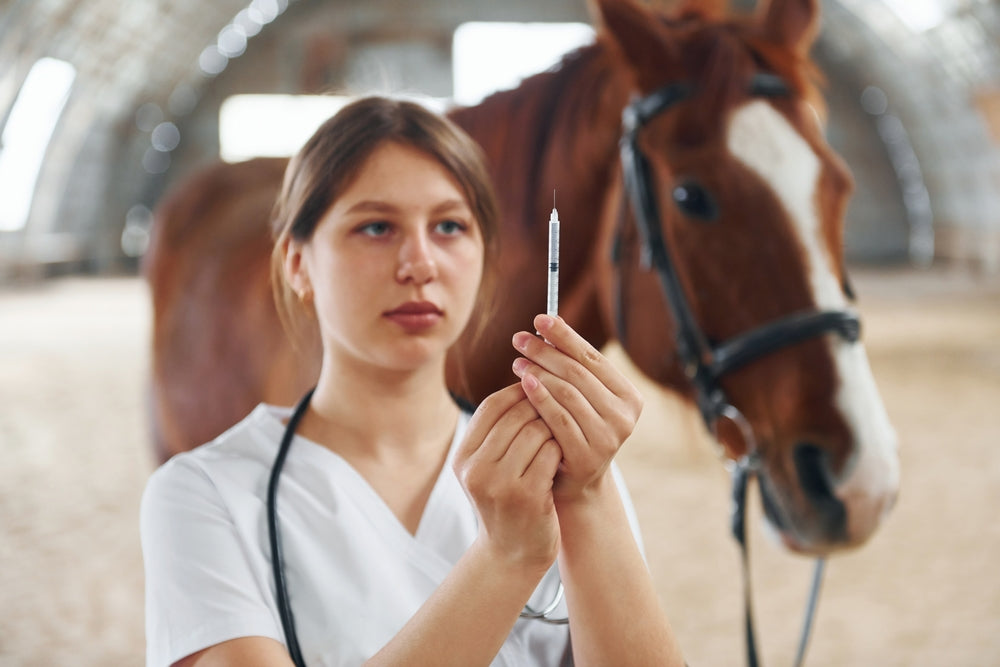 Equine Herpesvirus in Horses: Respiratory Signs, Neurologic Disease and Outbreak Control