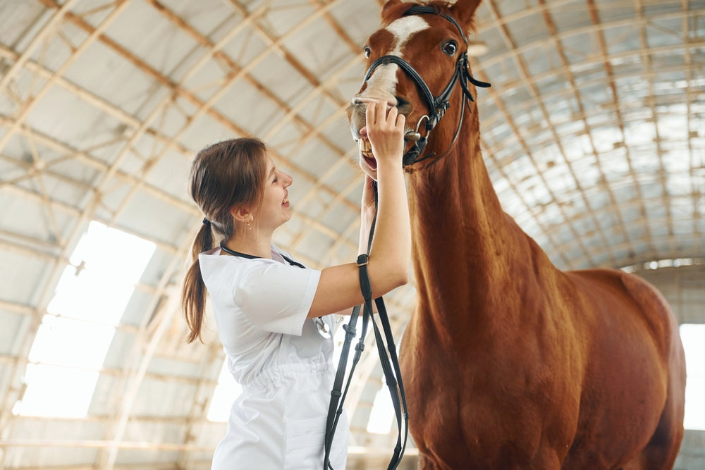 Mild to Moderate Equine Asthma in Horses: Signs, BAL Diagnosis and Treatment