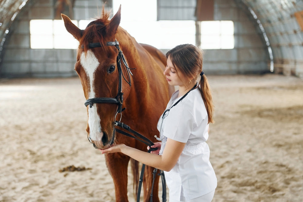Preventing Contagious Diseases in Horses