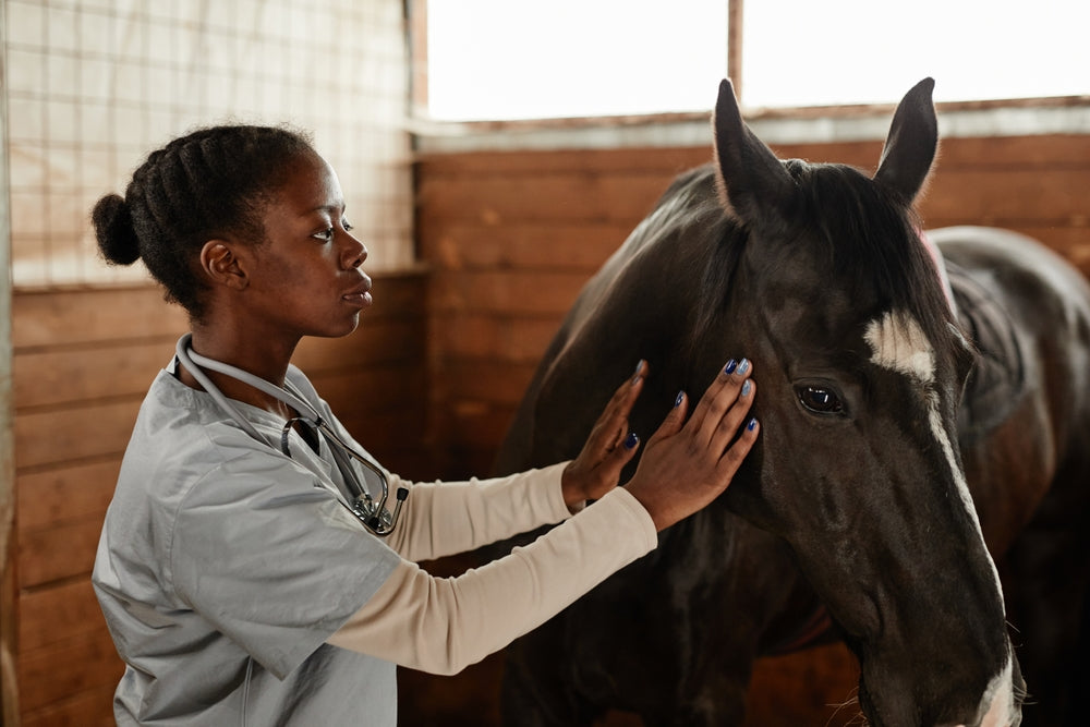 How Do Horses Think? Understanding Equine Behaviour, Fear, Learning and Trust