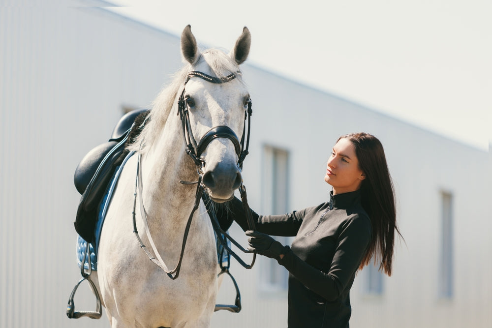 Can Gut Health Affect Your Horse’s Vaccine Response?