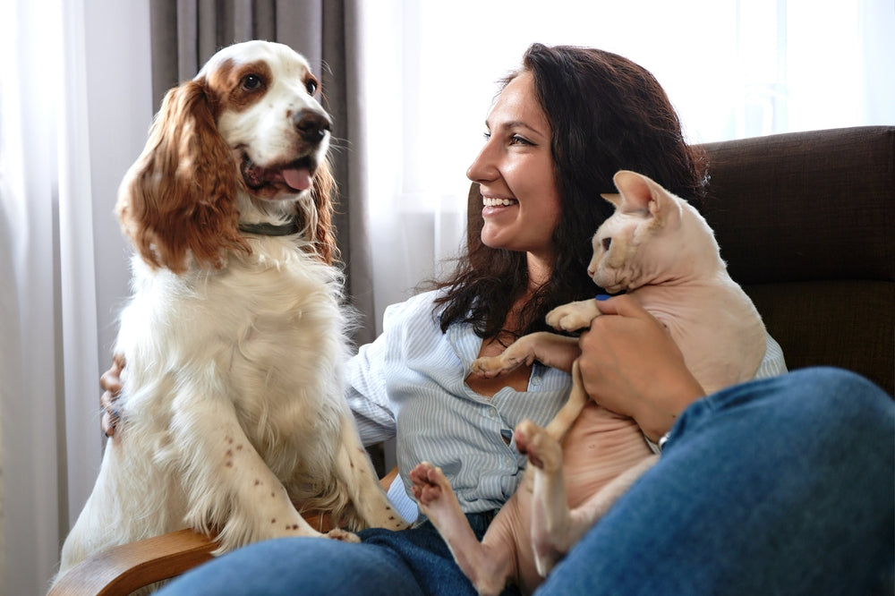 Itchy Pets Explained: A Vet Guide to Caring for Your Dog or Cat’s Skin 🐶🐱 | Dr Duncan Houston