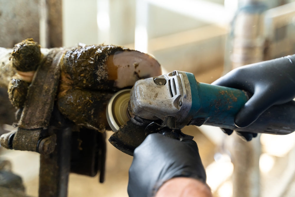 Can Hind Hoof Balance Change a Horse’s Posture?