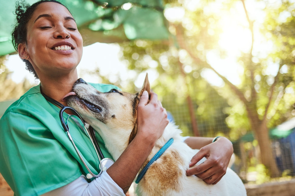Vet-Approved Guide: 10 Important Questions to Ask Your Veterinarian 🩺🐾