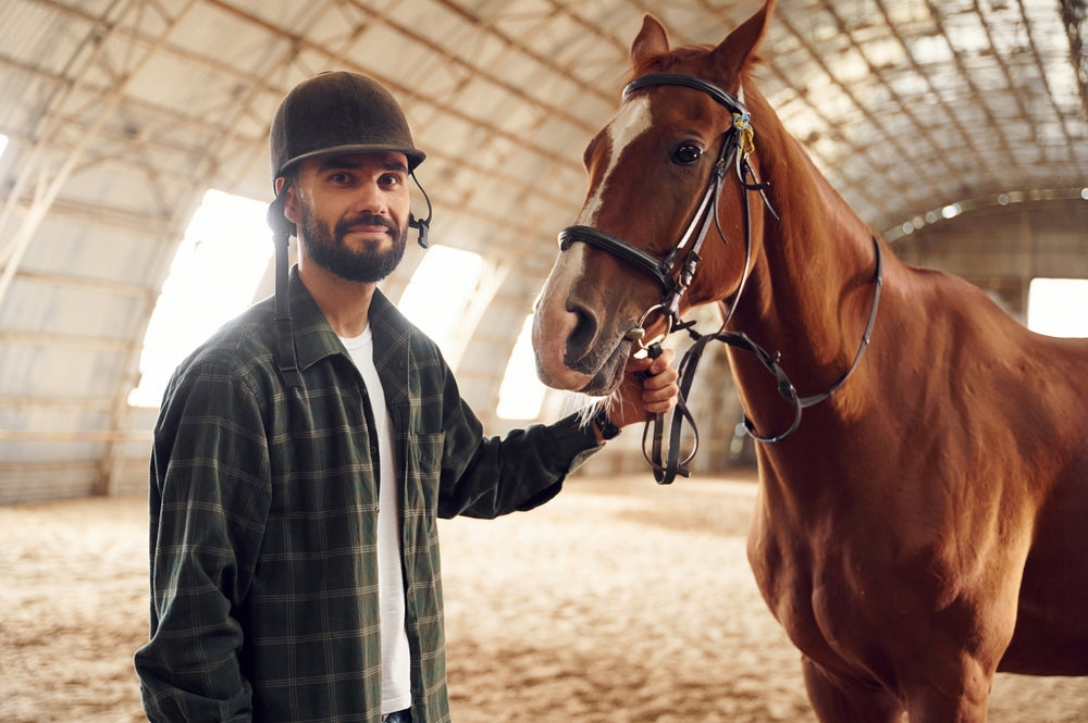 EPM in Horses: Symptoms, Testing and Why Blood Tests Can Mislead