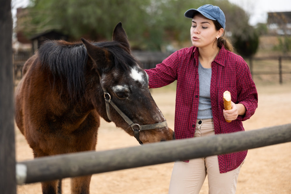 How to Feed a New Horse Without Causing Colic or Laminitis