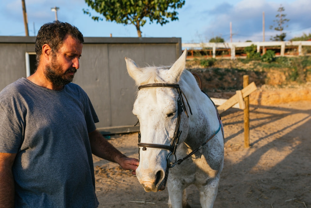 How to Use QUEST Moxidectin Safely in Horses