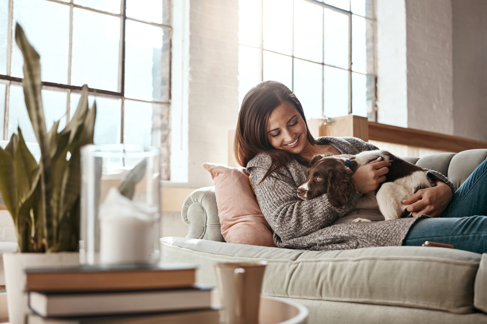 Buprenorphine for Dogs and Cats