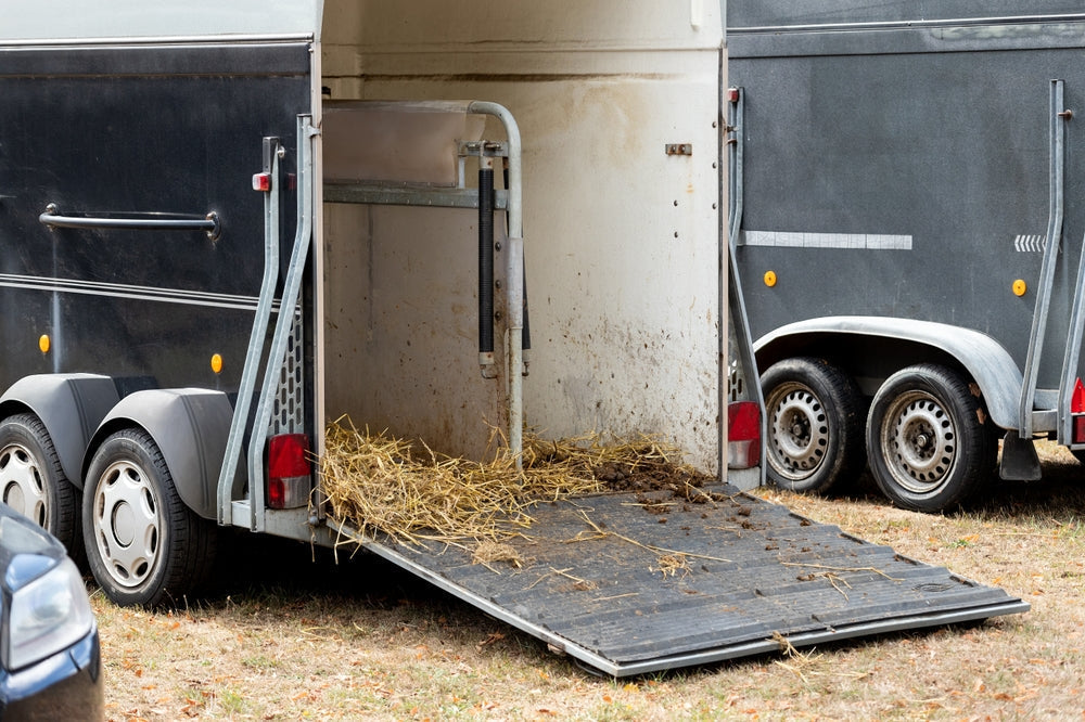 Dietary Tips for Hauling Horses: Feeding, Hydration and Colic Prevention
