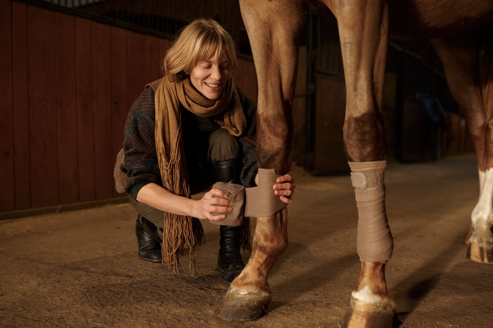 How To Bandage a Horse’s Leg Wound and Prevent Proud Flesh