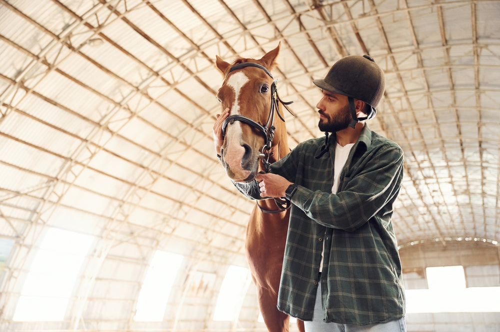Mange in Horses: Symptoms, Treatment and How to Stop It Spreading