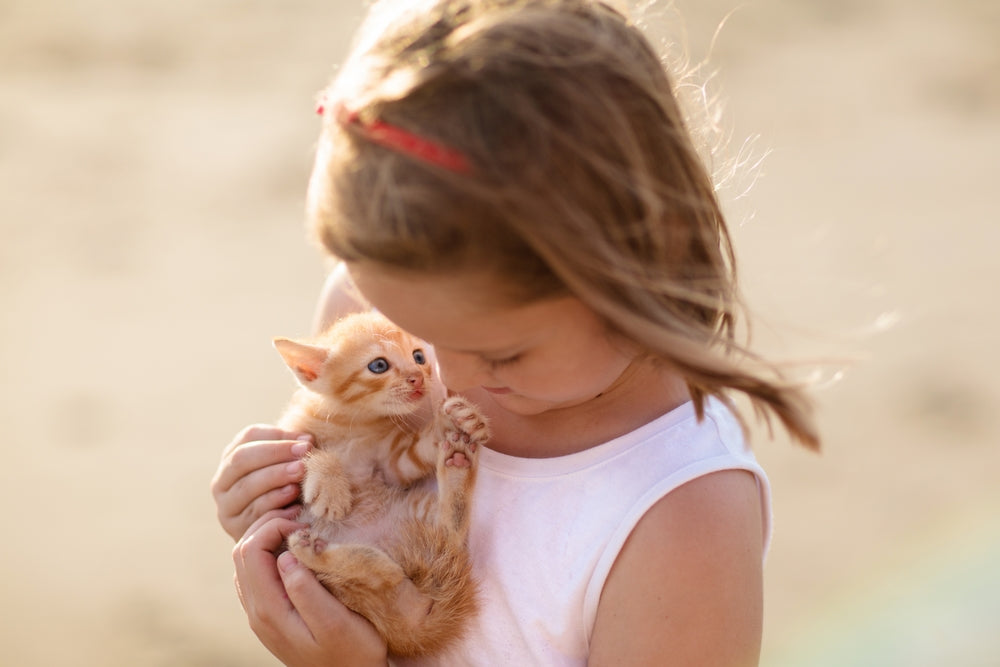 How to Introduce Your Cat to a New Baby Without Unnecessary Stress