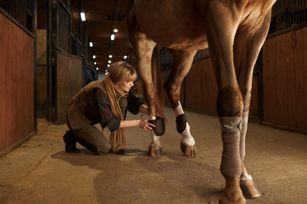How To Add Fat to a Horse’s Diet for Safe Weight Gain