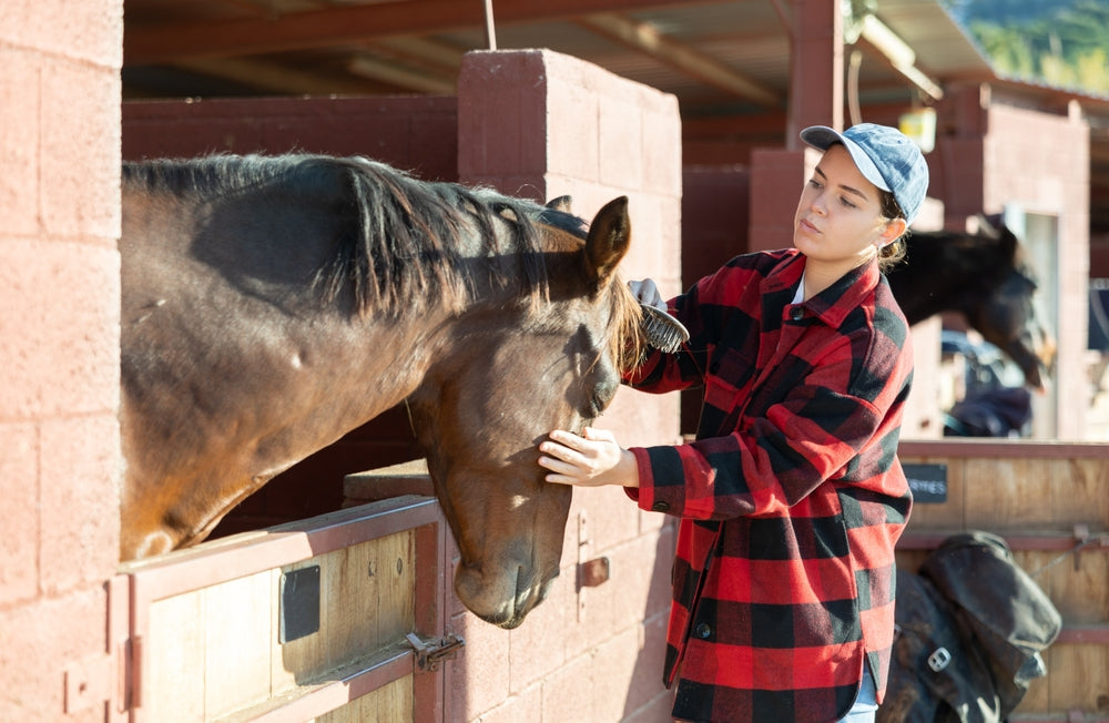 Breeding-Induced Endometritis in Mares: Why It Causes Infertility and How It Is Treated