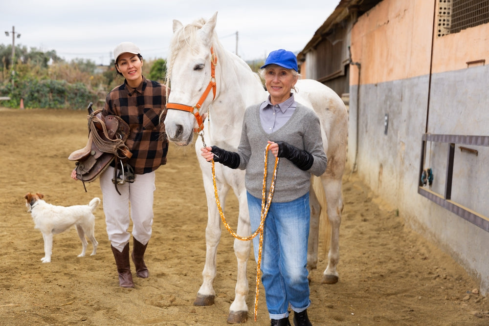 How Much Weight Can a Horse Carry? The 20% Rule and Its Limits
