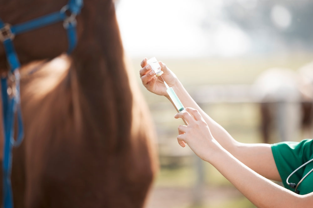 Extra Label Drug Use in Horses