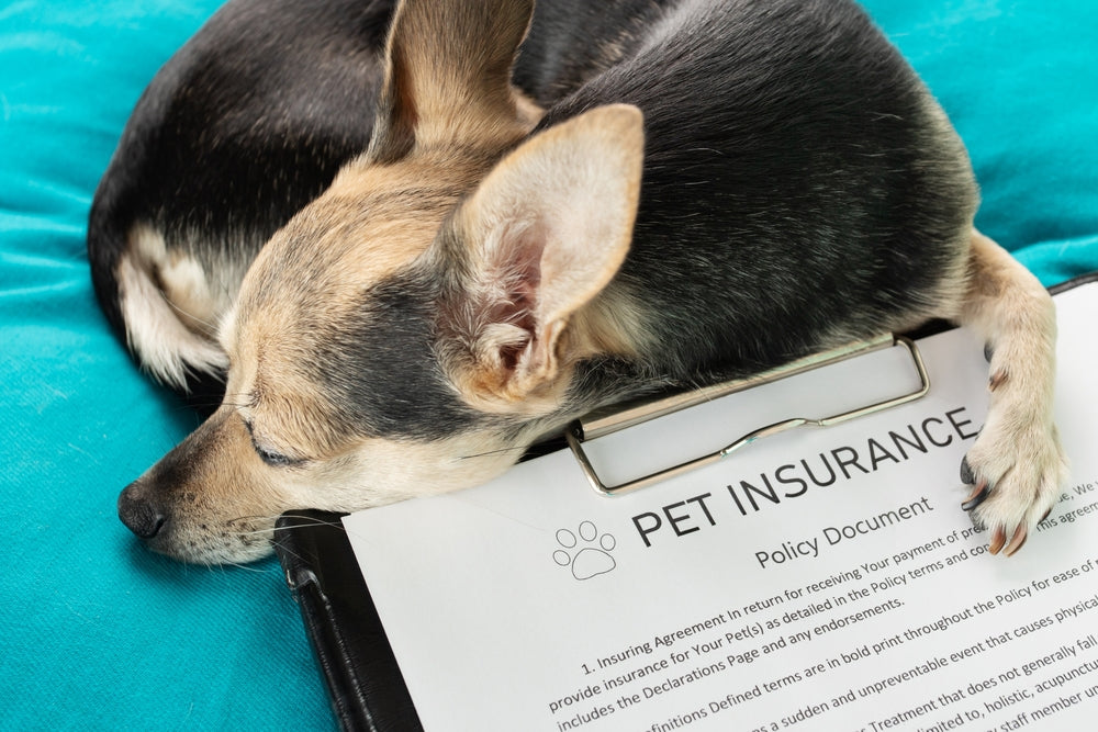 Pet Insurance Facts