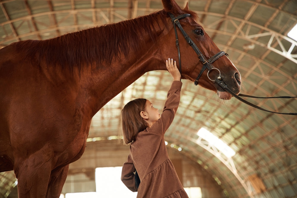 Viral Respiratory Disease in Horses: Vet Protection Plans for 2025 🐴💨🧪