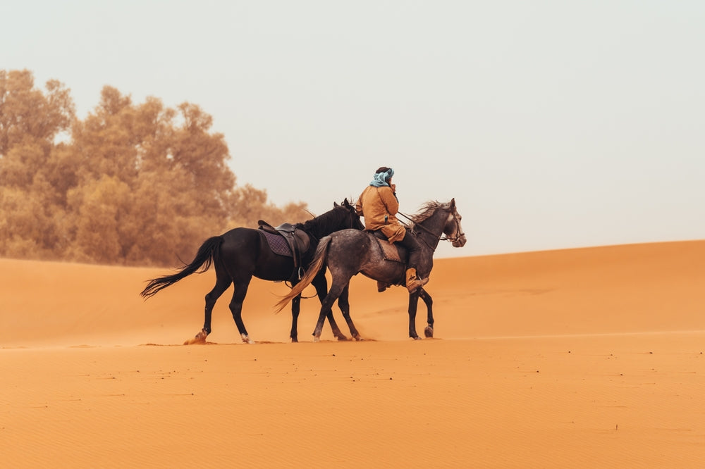 Sand Elimination in Horses