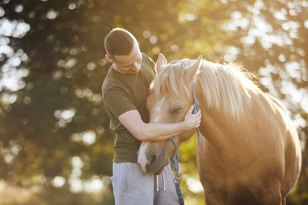 Do Calming Supplements Work for Horses? What the Evidence Actually Shows