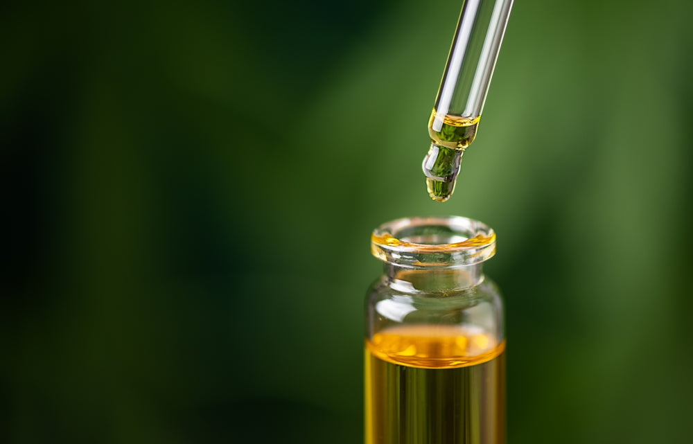 What Does THC Do to Dogs and Cats