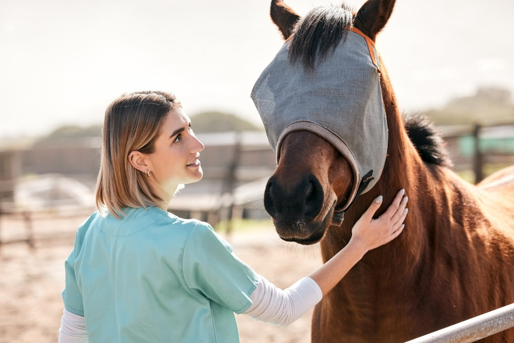 Can Neck Arthritis Cause Front Leg Lameness in Horses?